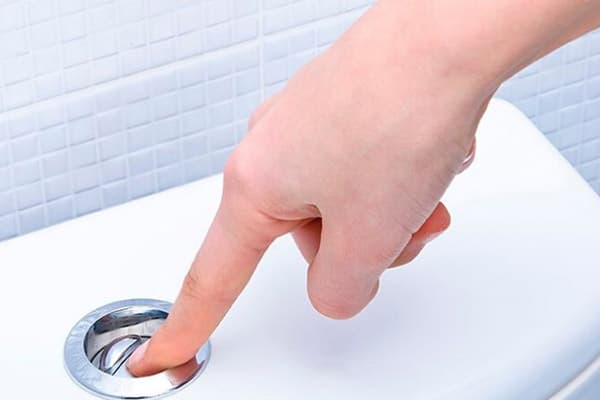 Toilet flush button