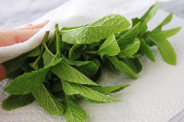 Peppermint after washing