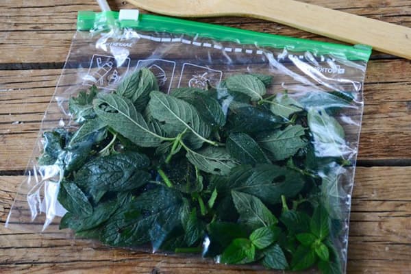 Mint Leaves in a Zip Pack