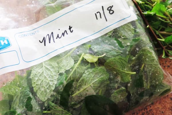Frozen mint