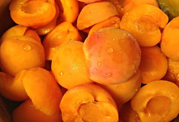 Fresh Apricots