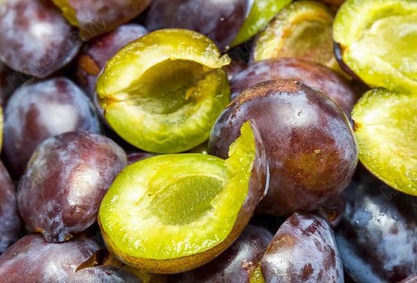 Fresh plum