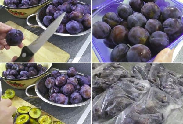 Seedless Plum Freeze