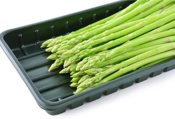 Asparagus pods in a container