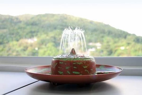 Indoor fountain