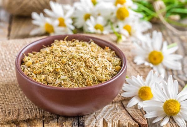Dried chamomile