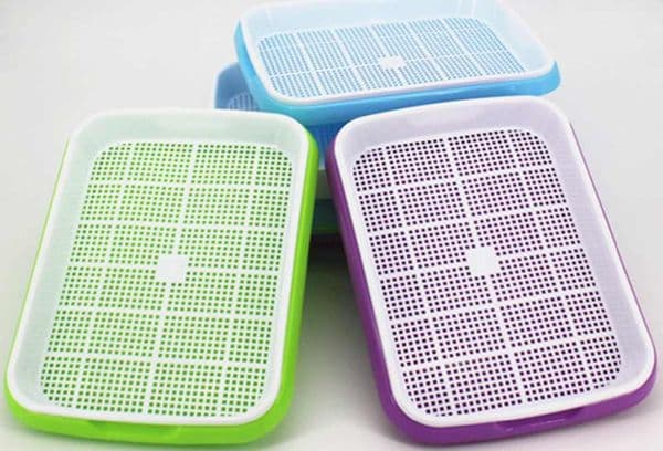 Mesh Pallets