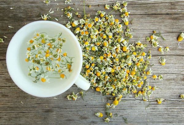 Dried Chamomile Flowers