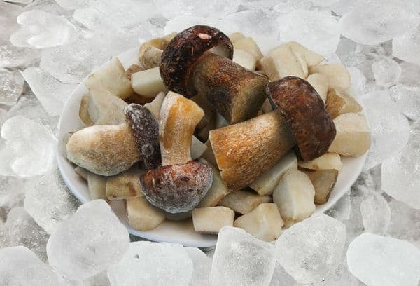 Mushrooms and ice cubes