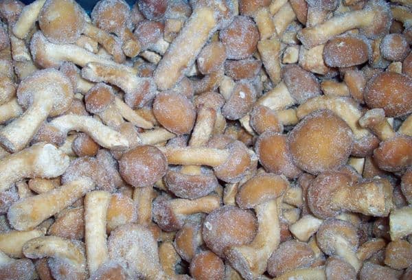 Frozen Ceps