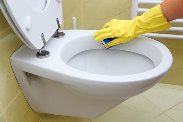 Cleaning the toilet