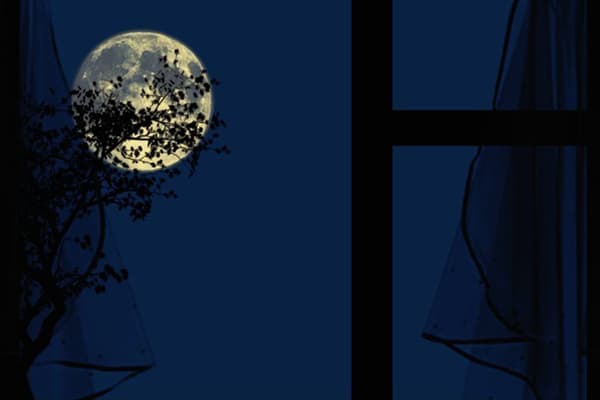 Full moon outside the window