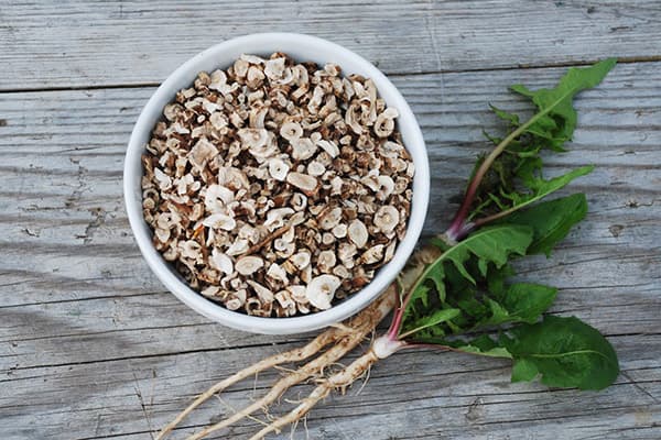 Dandelion root