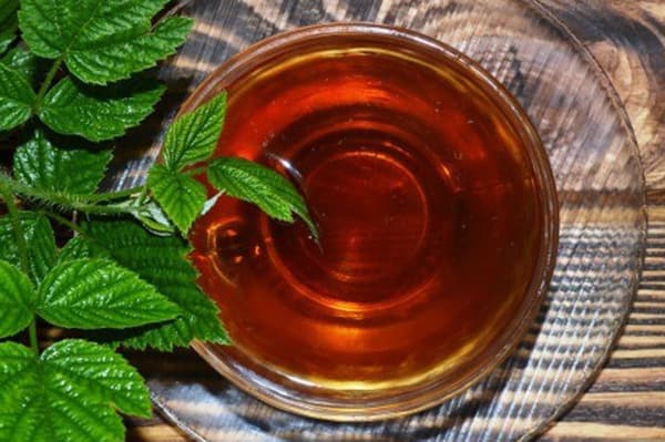Raspberry Leaf Tea