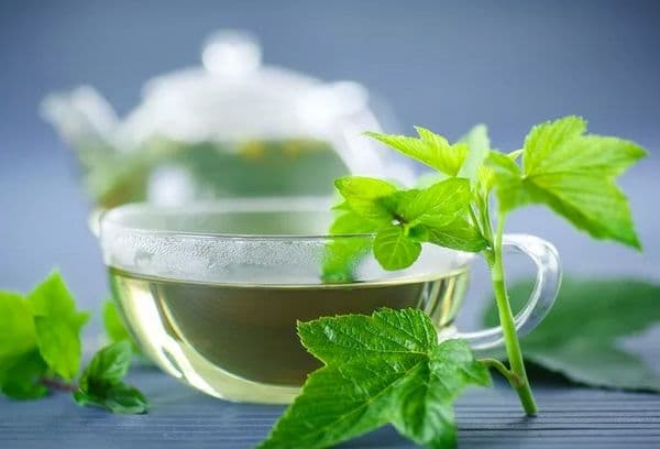 Currant tea
