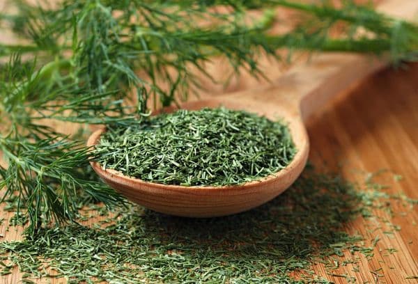 Green dried dill