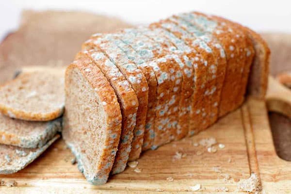 Moldy bread