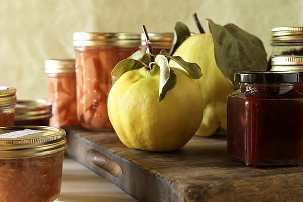 Quince fruits and quince jam