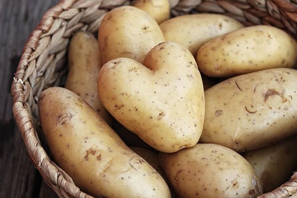 Young potatoes