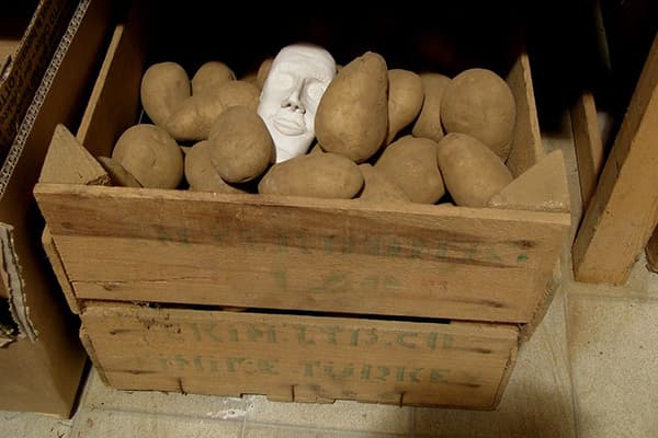 Potatoes in a drawer in the pantry