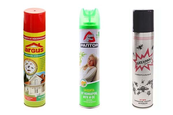 Aerosols from flies