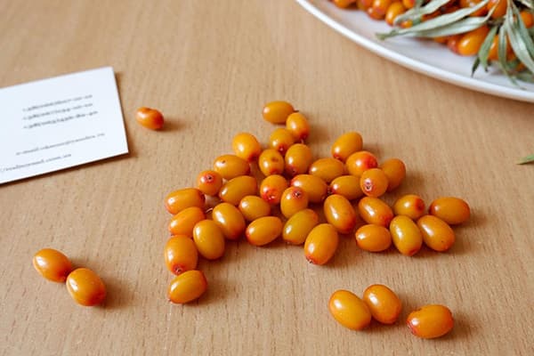 Sea buckthorn berries