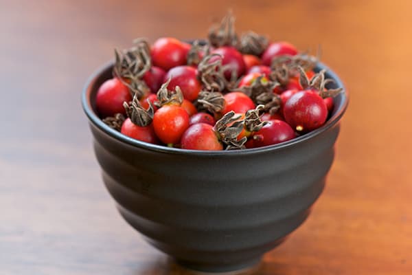 Bowl with rose hips