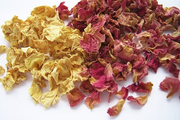 Rosehip Flower Petals
