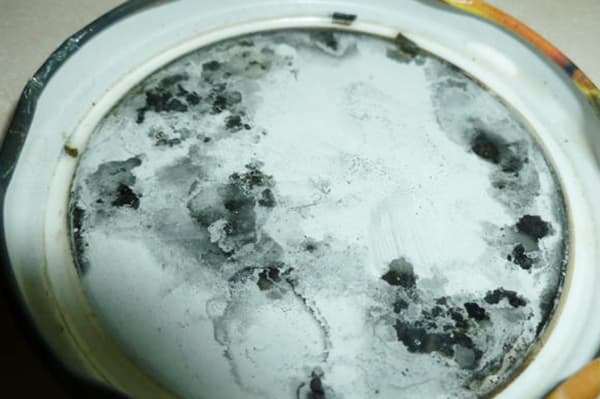Mold on the lid of the can