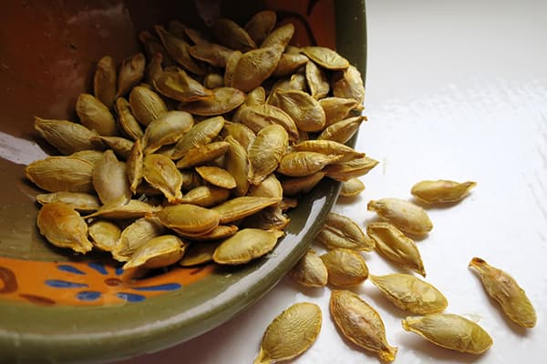 Pumpkin seeds
