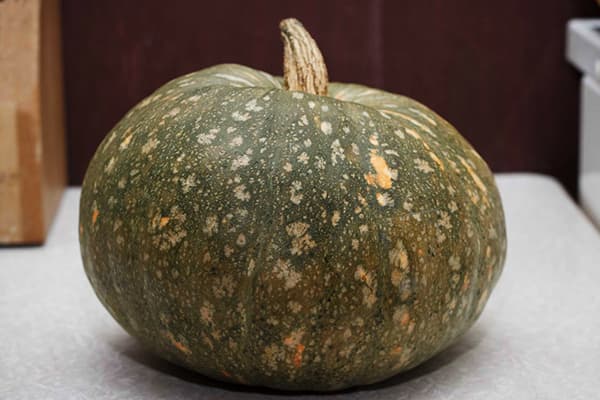 Pumpkin with green peel