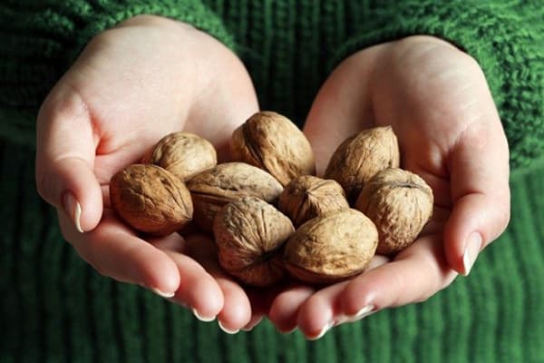 A handful of walnuts