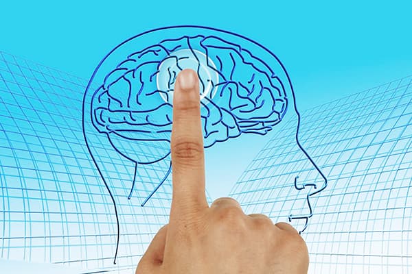 Maintaining a healthy nervous system