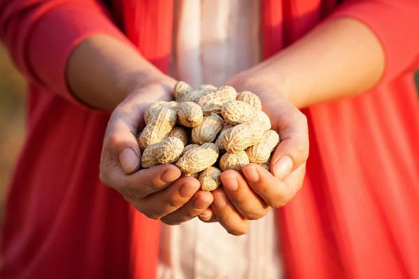 Woman with a Handful of Peanuts
