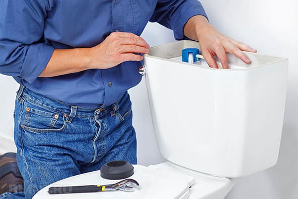 Plumber fixing a toilet bowl